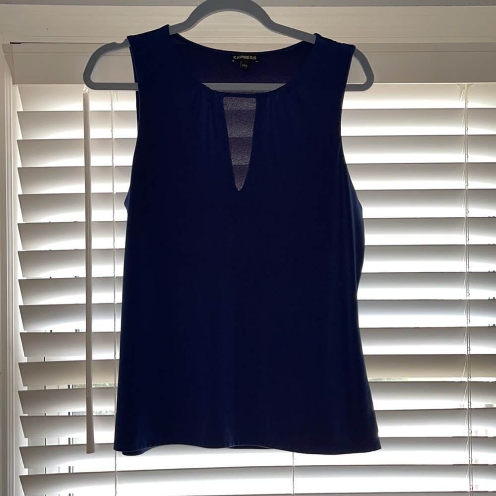 Express blue size large blouse
